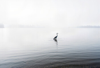 A solitary heron stands gracefully in calm, misty water in a minimalist black and white landscape, evoking a powerful sense of peace, tranquility, and solitude.
