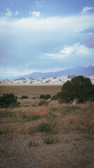 landscape in the desert