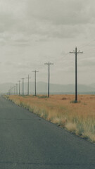 telephone poles along roadside