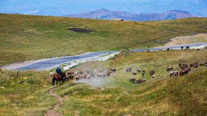 Herdsmen and sheep herds on Karajun Grassland, Xinjiang, China