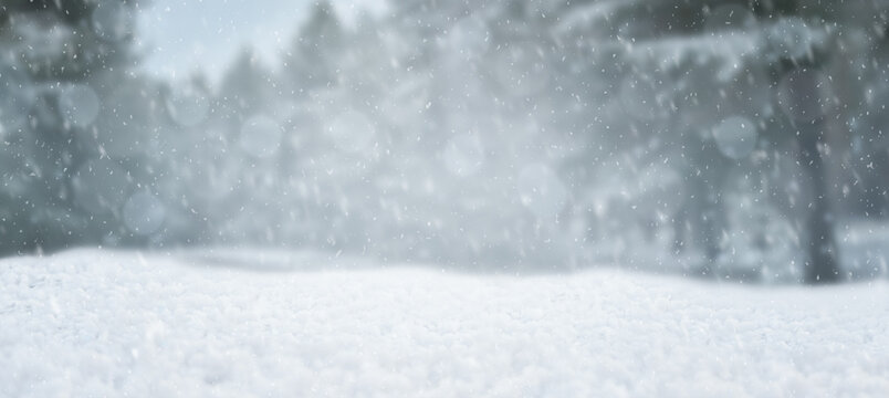 Winter background .Merry Christmas and happy New Year greeting card with copy-space. Christmas landscape with snow and fir trees