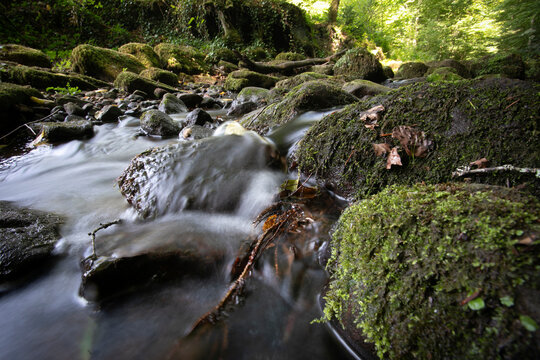 Schwarzwald Tal mit Bach, Wald, Steinen, Wanderpfad, Wald, Moos. Monbachtal Bad Liebenzell.