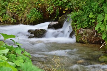 Waldbach in Polen, Langzeitbelichtung