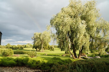Fototapeta premium Beautiful park on the riverbank after rain in the rays of the sun.