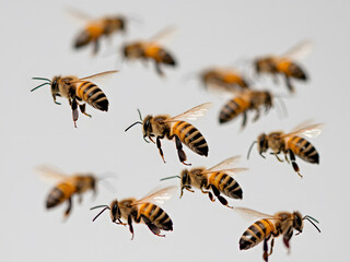Agile Honeybees in Flight Against a Simple Background. AI Generated 