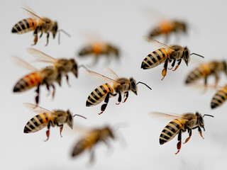 Flying Honeybees in Action Against a Plain Background. AI Generated 