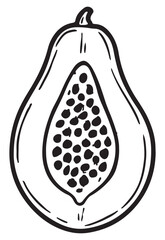 Hand drawn sketch of a papaya fruit half with seeds