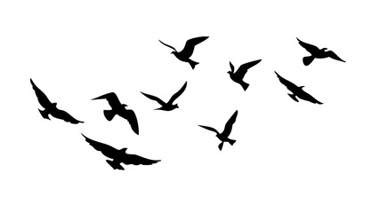 Flock of Birds in Flight flying silhouette