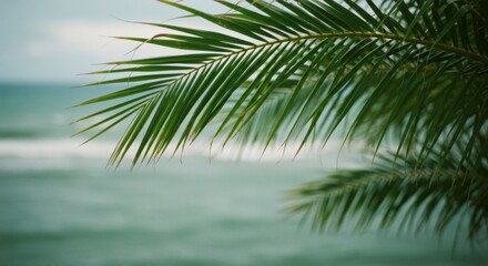 Fototapeta premium Vibrant Green Palm Leaves Over a Tranquil Teal Ocean