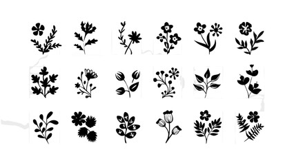 Whimsical Floral Elements Collection botanical nature