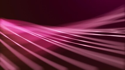 This abstract design features flowing pink light trails on a dark burgundy backdrop. - Powered by Adobe