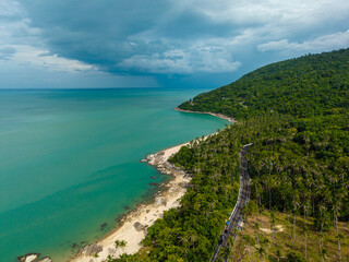 Aerial view white sand sea beach coconut palm tree tropical forest