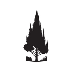 Black Color Cypress Tree Silhouette Vector Illustration, Solid White Background.