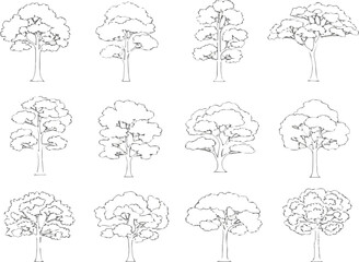 Create a kinds of deferent Minimal style cad tree line drawing, Side view, set of graphics trees elements outline symbol for architecture and landscape design drawing in stroke fill in  vector art.