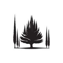 Black Color Cypress Tree Silhouette Vector Illustration, Solid White Background.