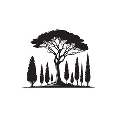 Black Color Cypress Tree Silhouette Vector Illustration, Solid White Background.
