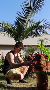 homem faz carinho em cachorros no jardim 