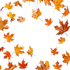 and keyword list based on the image.. Autumn Leaves Falling Scatter on Black Background, Seasonal Transition.