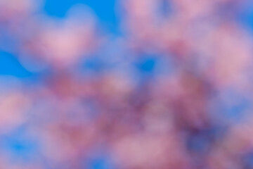 桜の花びらと青空の抽象的なぼけ背景