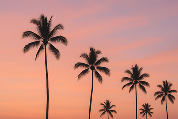 palm tree silhouettes against pastel sunset sky, minimal composition