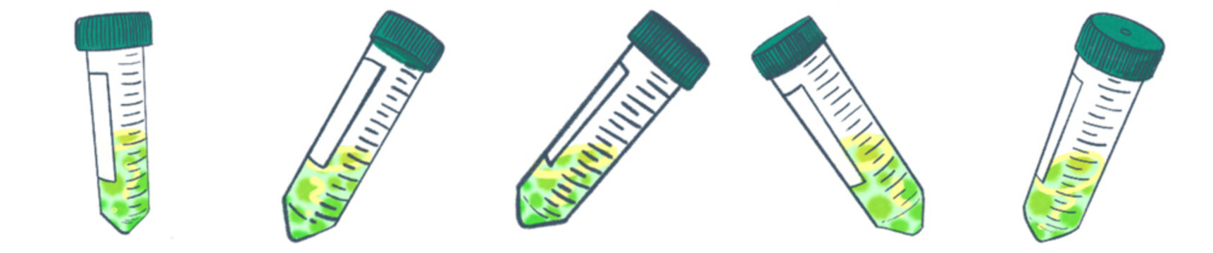 Conical Centrifuge Tube PNG Clipart for Laboratory Science and Research Illustration
