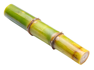 Fototapeta premium Fresh sugarcane stalk isolated on a transparent background, showcasing its vibrant green color and fibrous texture, a natural source of sweetness and energy