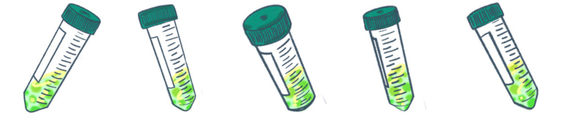 Conical Centrifuge Tube PNG Clipart for Laboratory Science and Research Illustration