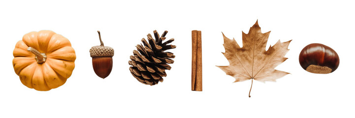 A delightful collection of autumn elements is presented horizontally on a transparent background.