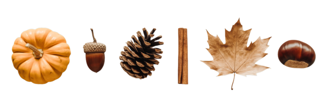A delightful collection of autumn elements is presented horizontally on a transparent background.