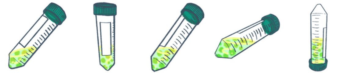 Conical Centrifuge Tube PNG Clipart for Laboratory Science and Research Illustration