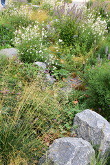 Obraz premium Jardin de rocaille en été