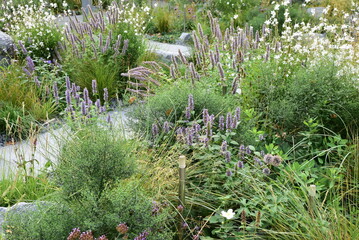 Jardin de rocaille en &eacute;t&eacute;