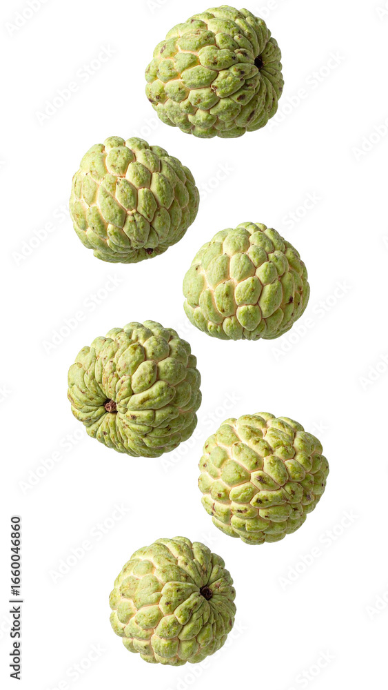 Poster ripe custard apples falling against a transparent background, creating a dynamic and appetizing visu