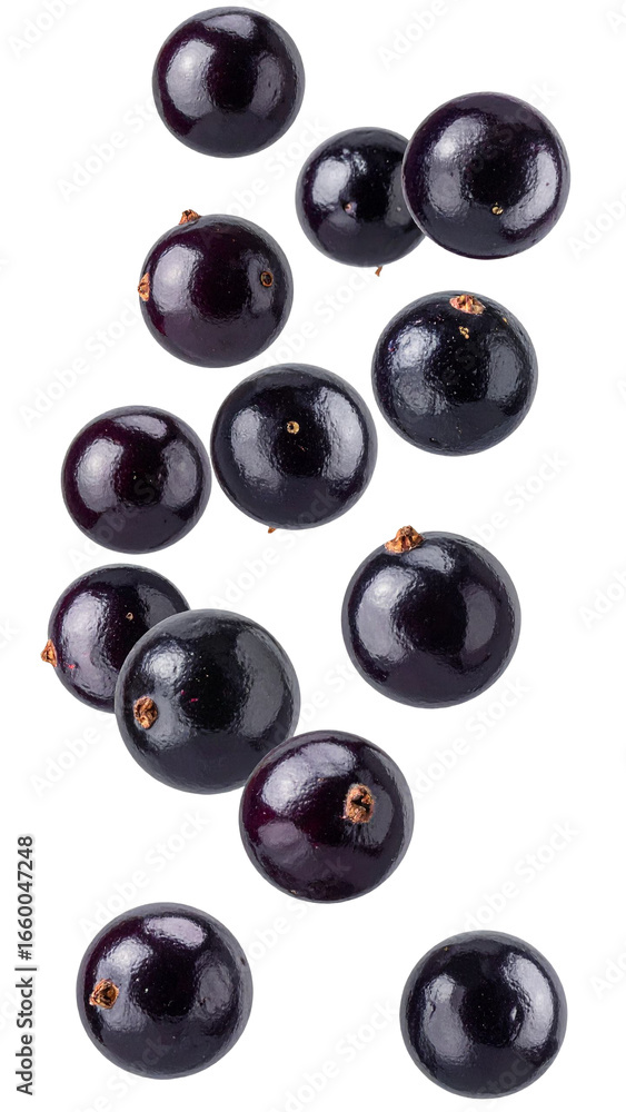 Poster several ripe jabuticaba fruits falling against a transparent background, creating a dynamic and appe