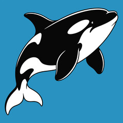 Orca Whale Vector Illustration Killer Whale Marine Animal Clipart