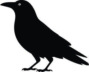 Obraz premium Black bird silhouette crow raven