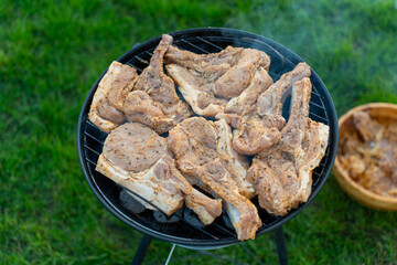 Marinated pork ribs and meat pieces grilling on round barbecue grill with green grass background in...