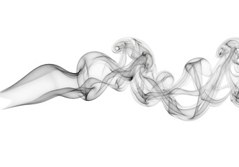 Fototapeta premium Dynamic Gray Smoke Flow with Intricate Swirls on a Black Background