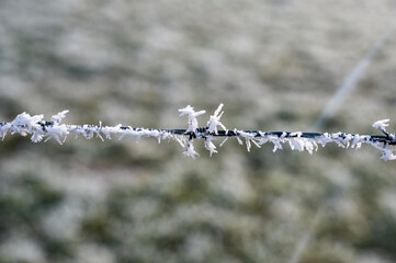 Schneebeckter Stacheldrahtzaun im Winter