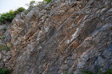 Naklejka premium Rugged rock layer wall with trees