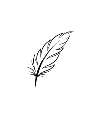 Obraz premium Simple black and white feather graphic