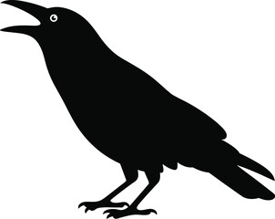 Obraz premium Black bird with open beak and white eye silhouette