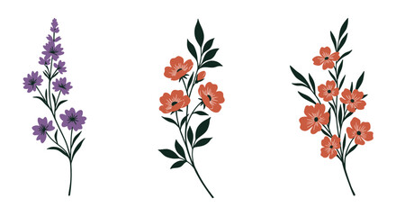 Three different types of flowers on stems with leaves on white background