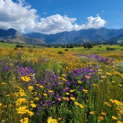 Fototapeta premium Wildflowers blooming in a lush pasture with distant mountains. 