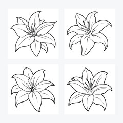 Lily flower vector art design