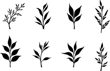 Fototapeta premium Botanical Black Silhouette Elements Set