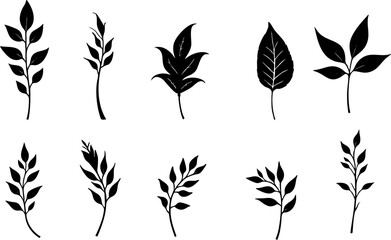 Hand-Drawn Black Leaf Silhouettes