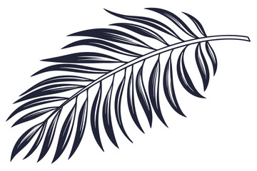 Obraz premium Palm Leaf Silhouette Isolated Transparent Tropical Foliage Vector Design