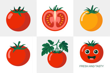 Tomato set, whole sliced seed detail, vine cluster, clean red icons, cooking ingredient vector