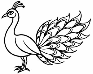 Naklejka premium Elegant line drawing of a peacock with fanned tail isolated on white background
